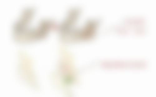 眼袋打针有副作用吗？揭秘打眼袋针可能出现的眼睑下垂、感染等副作用