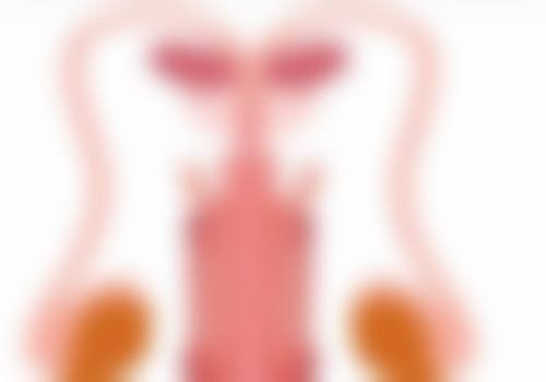 一、眼袋形成的原因