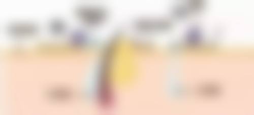 六、相关图片解说