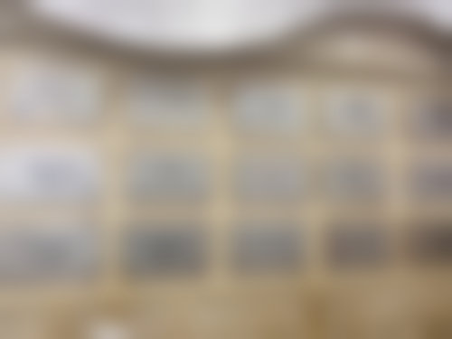 五、路秀波怎么预约?