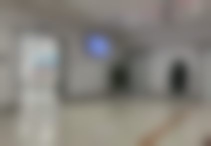 二、朵向东医生简介