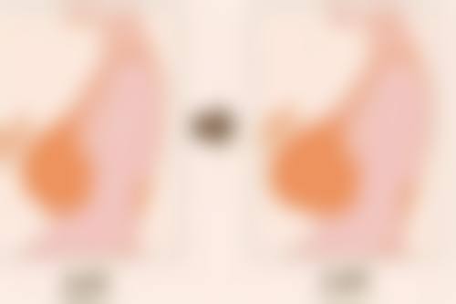 二、李想擅长项目