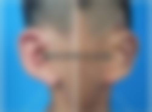 三、王晓琼技术优势