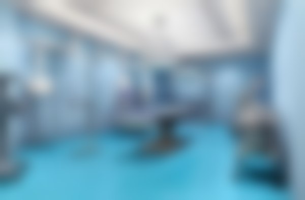 二、刘轶擅长项目