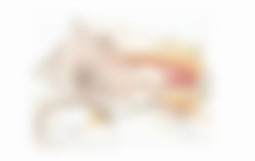 三、假体隆胸材质的选择