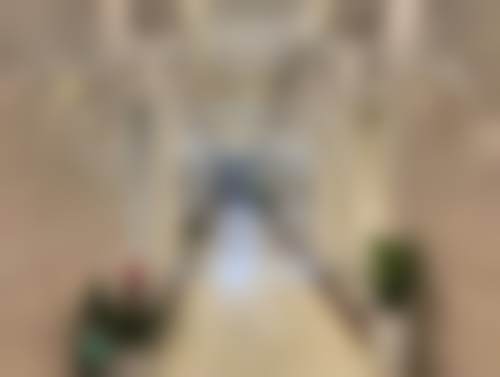 三、张灿技术优势