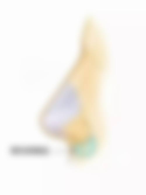 四、松原高盛辉医疗美容诊所特色项目