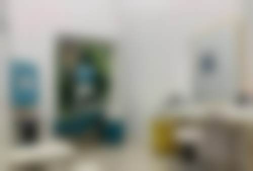 三、王禹技术优势
